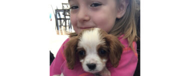 The perfect family breed